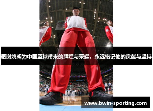 感谢姚明为中国篮球带来的辉煌与荣耀，永远铭记他的贡献与坚持