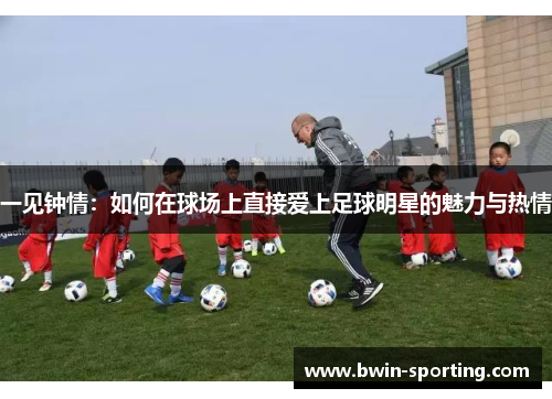 一见钟情：如何在球场上直接爱上足球明星的魅力与热情